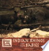 Indian_rhinos_and_their_babies