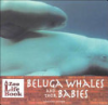 Beluga_whales_and_their_babies