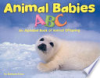 Animal_babies_ABC