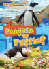 Penguin_or_puffin_