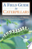 Caterpillars_in_the_field_and_garden