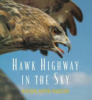Hawk_highway_in_the_sky