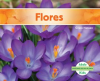 Flores__Flowers_