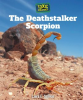 The_Deathstalker_Scorpion