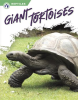 Giant_Tortoises
