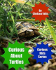Curious_About_Turtles