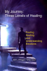 My_Journey__Three_Levels_of_Healing_____Feeling__Healing__and_Understanding_Emotions