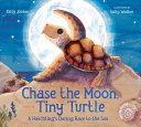 Chase_the_Moon__tiny_turtle