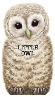 Little_owl