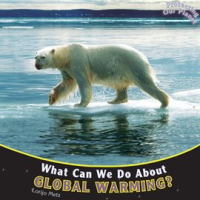 What_Can_We_Do_About_Global_Warming_