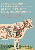 Anatomical_and_Physiological_Models_of_the_Horse__Cow__Sheep__Pig_and_Chicken_-_Colored_to_Nature