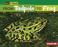 From_Tadpole_to_Frog