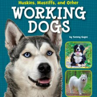 Huskies__Mastiffs__and_Other_Working_Dogs