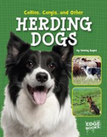 Collies__Corgies__and_Other_Herding_Dogs