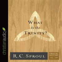 What_Is_the_Trinity_