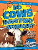Do_Cows_Have_Two_Stomachs_