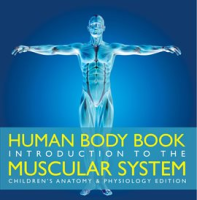Introduction_to_the_Muscular_System