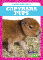 Capybara_Pups