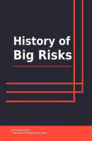 History_of_Big_Risks