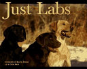 Just_labs