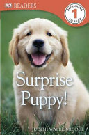 Surprise_puppy_