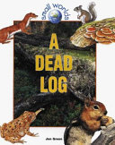 A_dead_log