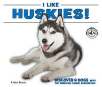 I_Like_Huskies_