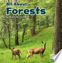 All_about_forests