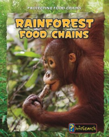 Rain_Forest_Food_Chains
