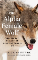 The_Alpha_Female_Wolf