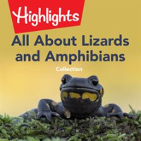 All_About_Lizards_and_Amphibians_Collection