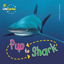 Pup_to_shark
