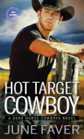 Hot_target_cowboy