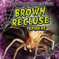 Brown_Recluse_Spiders