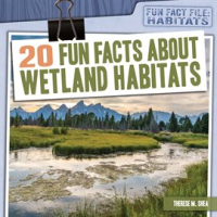 20_Fun_Facts_About_Wetland_Habitats