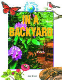 In_a_backyard
