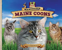 Marvelous_Maine_coons