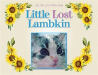 Little_Lost_Lambkin