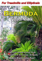 Bermuda_Virtual_Walk