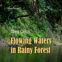 Flowing_Waters_In_Rainy_Forest