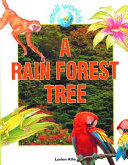 A_rain_forest_tree