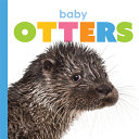 Baby_otters