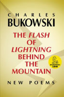 The_Flash_of_Lightning_Behind_the_Mountain