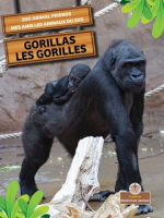 Gorillas__Les_gorilles_