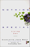 Nothing_Special