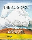 The_big_storm