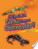 Can_you_tell_a_gecko_from_a_salamander_