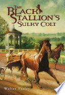 The_black_stallion_s_sulky_colt