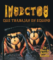 Insectos_que_trabajan_en_equipo