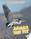 Animals_that_fly